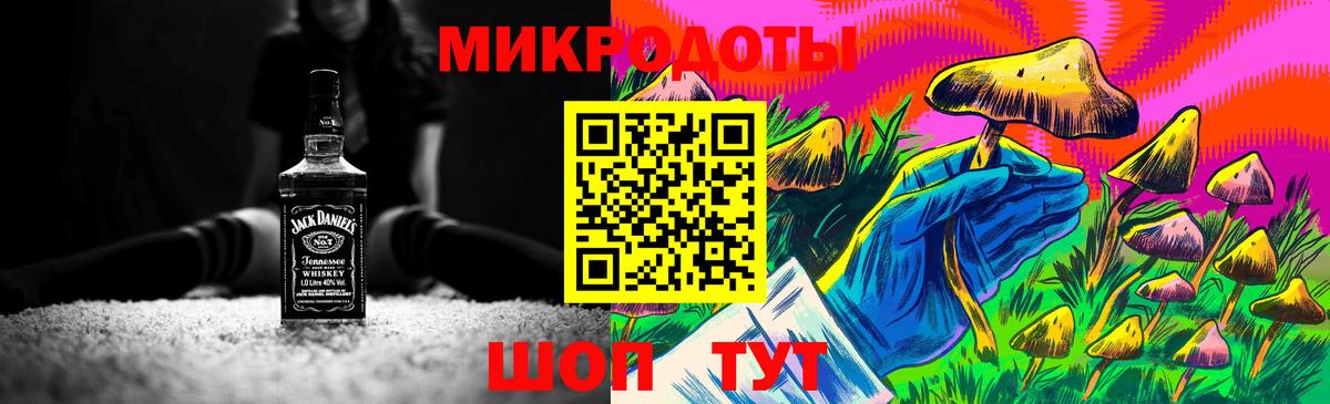 Вологда  Галлюциногенные грибы Psilocybe  Вход с VPN 